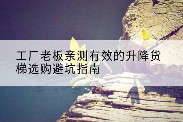 颍东升降货梯怎么选-工厂老板亲测有效的升降货梯选购避坑指南
