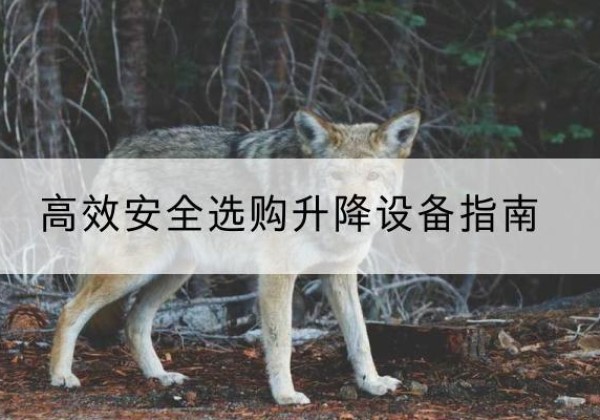 颍东升降货梯厂家推荐-*安全选购升降设备指南