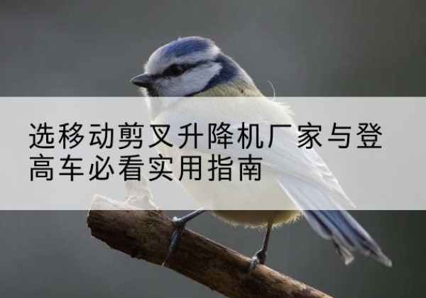 颍东电动升降机厂家-选移动剪叉升降机厂家与登高车必看实用指南