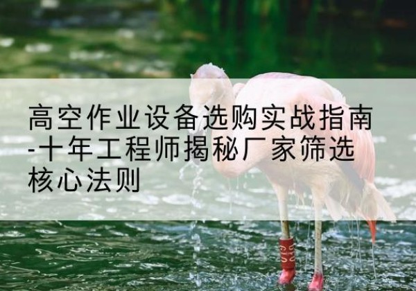 颍东剪叉式升降机厂家-高空作业设备选购实战指南-十年工程师揭秘厂家筛选核心法则