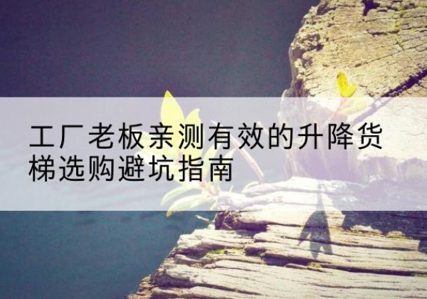 颍东升降货梯怎么选-工厂老板亲测有效的升降货梯选购避坑指南